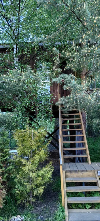 Коттедж Дом на дереве с окном на полу — Веськово