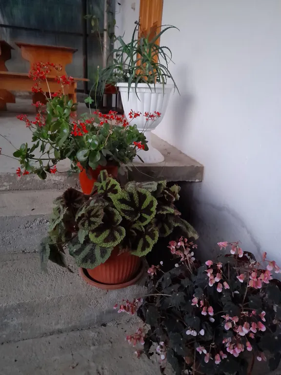 Уютная комната в частном доме