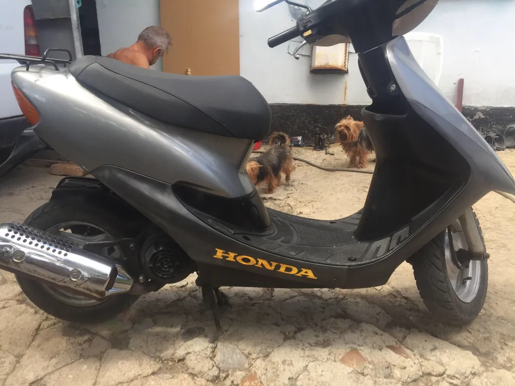 Уютная квартира на Вилле Дельмар с можевельником со стороны лоджии