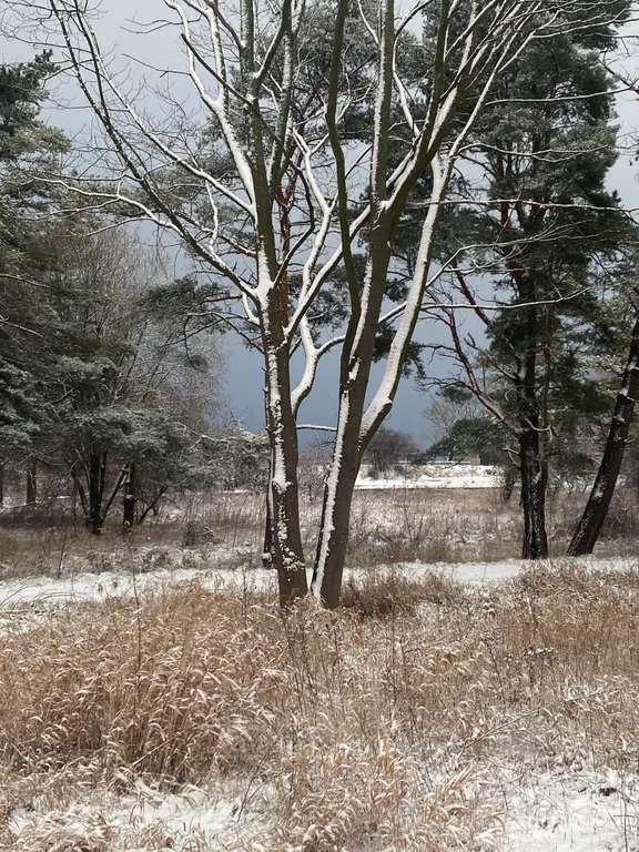 Квартира Уютная квартира у моря — Зеленоградск