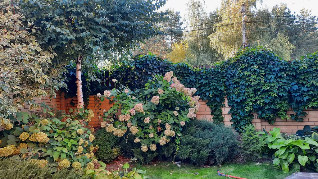 Апартаменты Кроличья нора