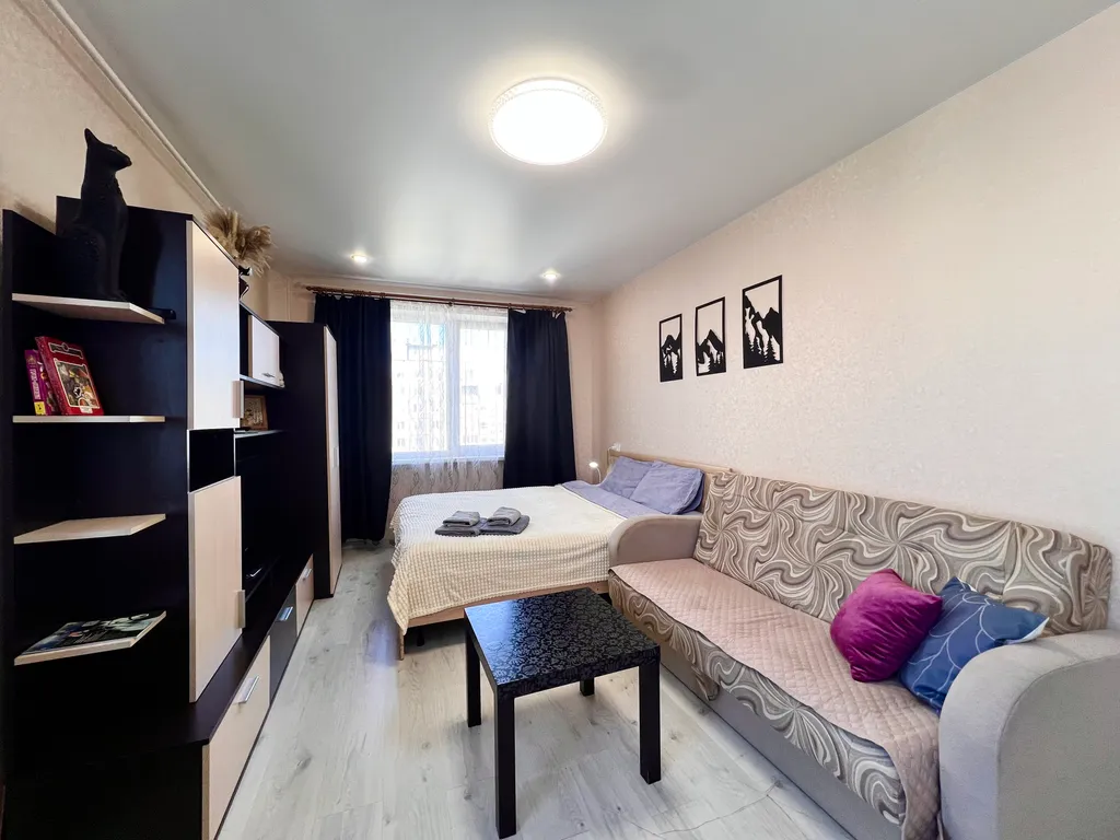 Апарты 51 с шикарным видом Сканди