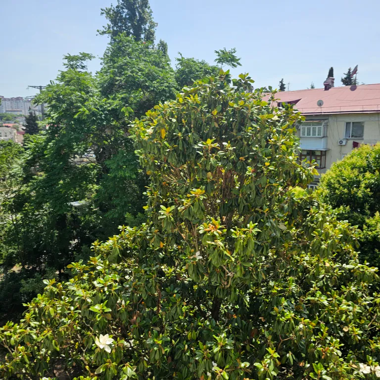 Уютная квартира в центре