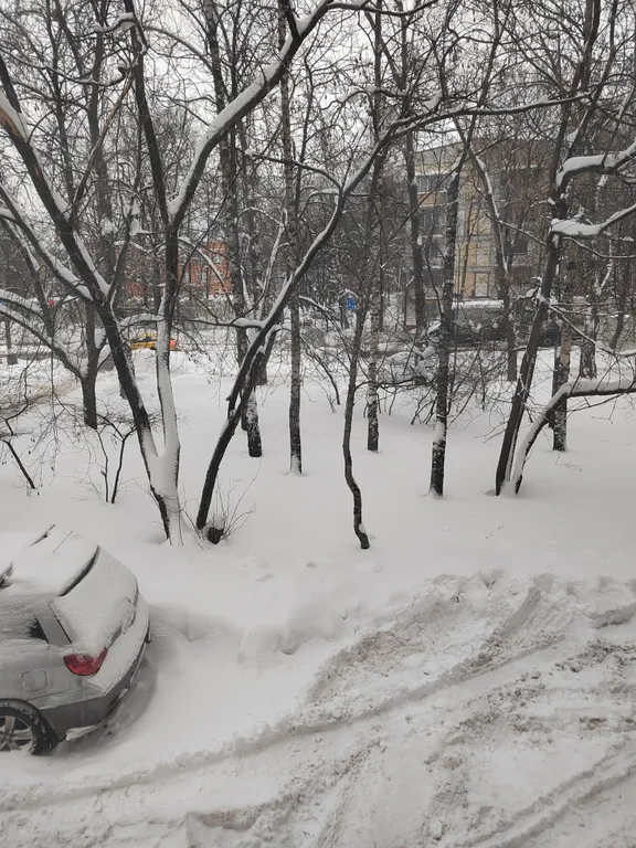 Квартира Уютная квартира рядом с метро и лесом — Москва