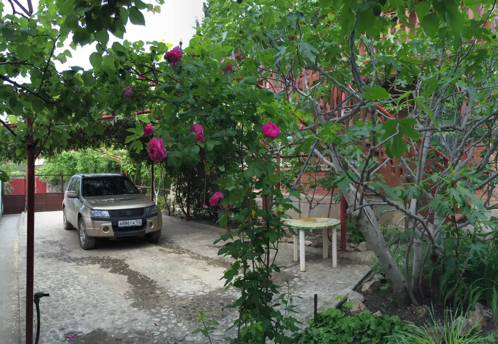 Коттедж в саду