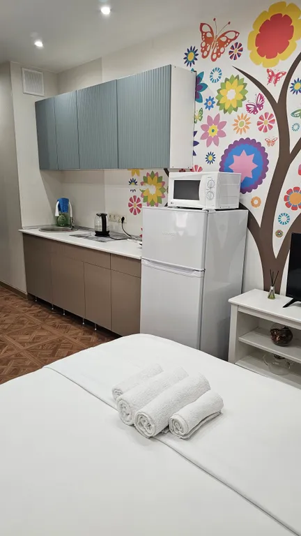 Квартира-студия ст. Павшино