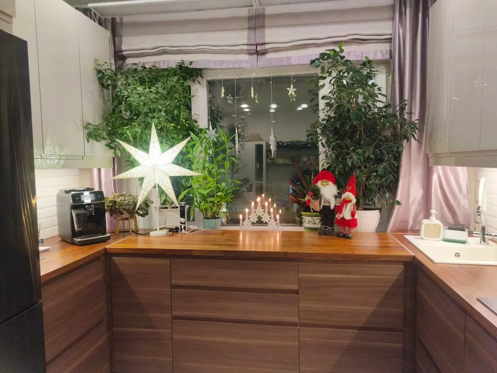 Солнце Севера