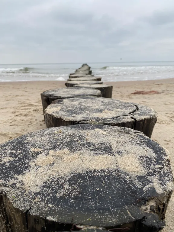 Квартира 1-комнатная Квартира — Зеленоградск