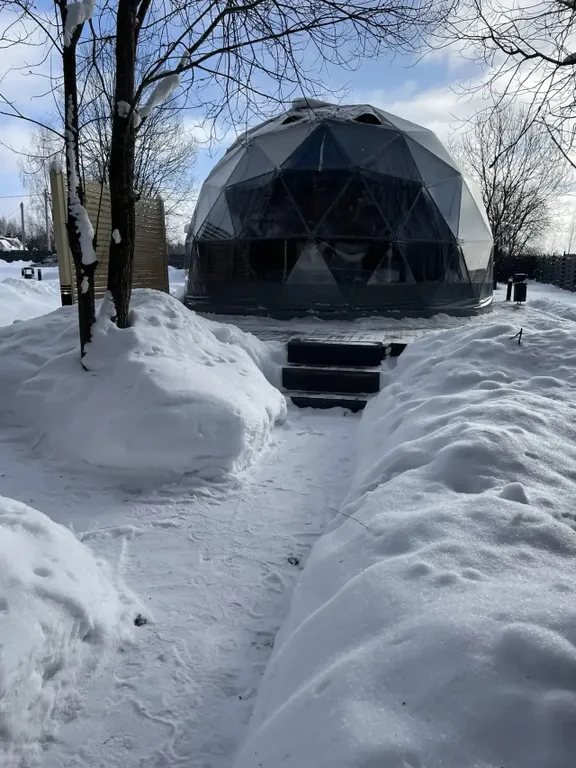 Коттедж Геокупол D-6 с панорамным видом на лес Detox-Riga — Черленково