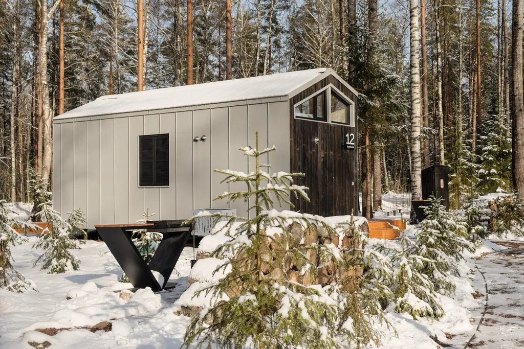 Коттедж Дом в лесу с купелью фурако и мангальной зоной (до 4-х чел) — Глубокое (Каменногорское г/п)