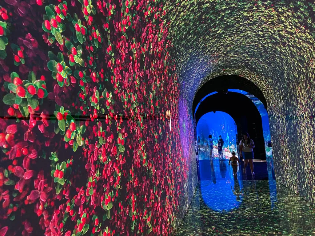 Квартира Семейная квартира возле парка Галицкого — Краснодар