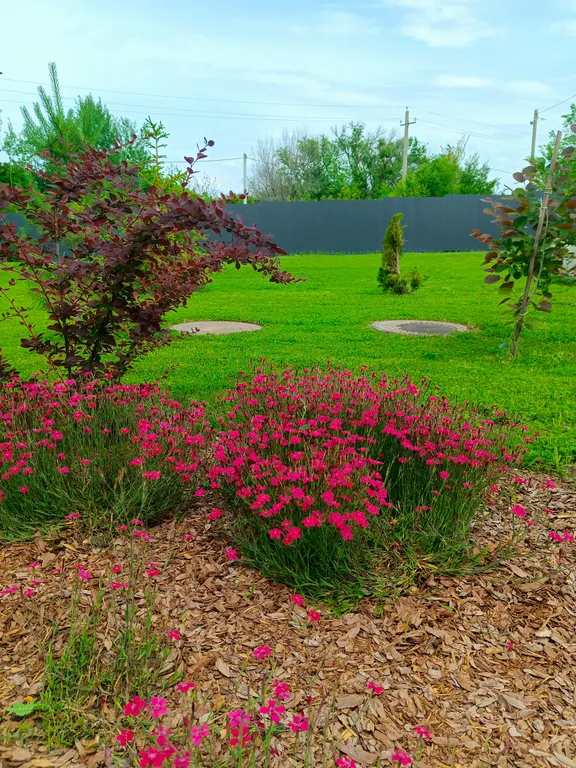 Дом с сауной