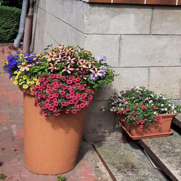 Привлекательный дом для отпуска