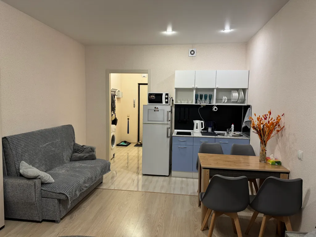 Уютная видовая студия рядом с парком и метро