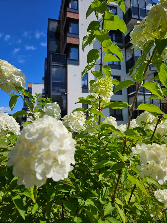 Апартамент Карельская сказка у речки в центре города