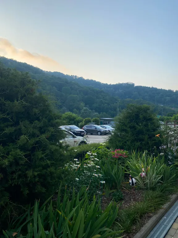 Квартира Квартира Уютная студия в экологически чистом районе Мацеста — Краевско-Армянское