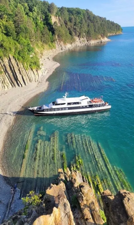 Квартира с видом на море