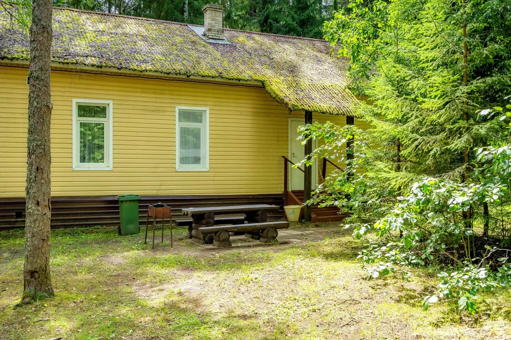 Коттедж 1-комнатный Дом — Луга