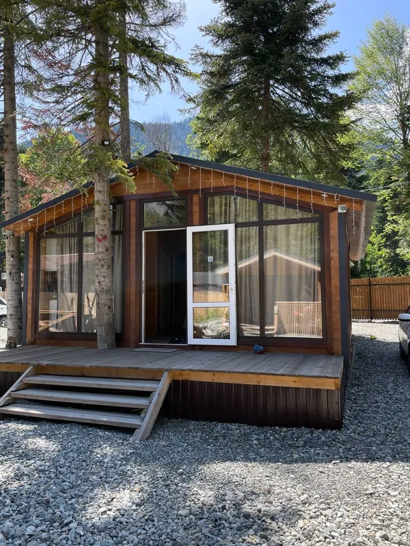 Шале 1 с видом на горы и лес