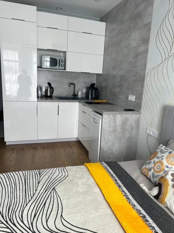 Квартира Квартира Geo studio i уютная и стильная студия в центре Ярославля — Ярославль