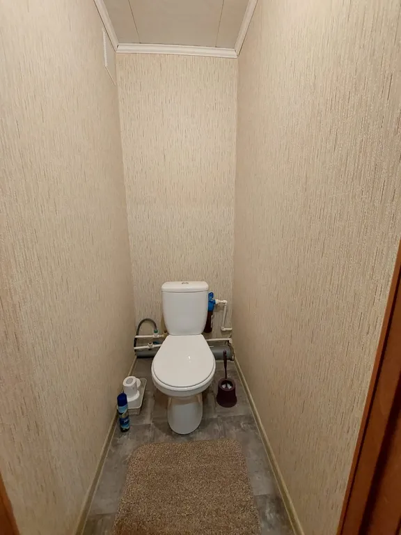 Командировка Кингисепп, легко