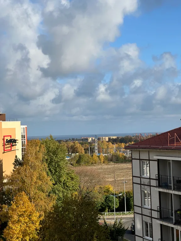 Уютная студия в тихом зеленом районе