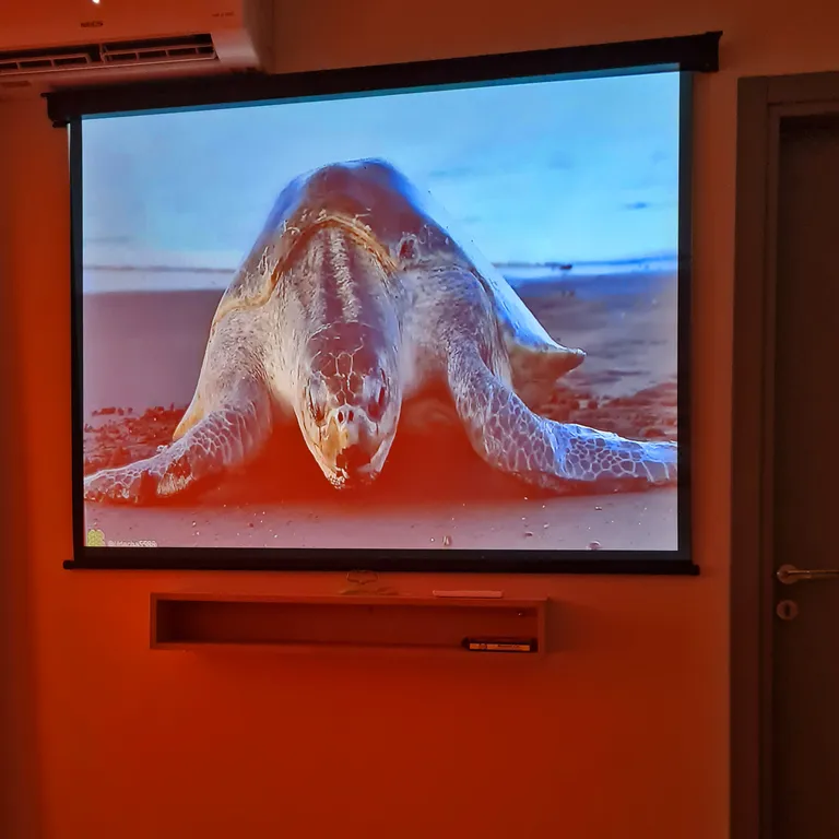 Комфорт и вид на море Отдельная спальня Гостиная Кухня Балкон