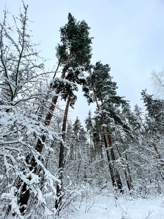 Уютная, чистая квартирка рядом с М-4 и крупнейшим в городе ТРК Град
