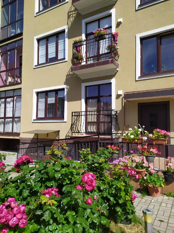 1-комнатная Квартира — аренда посуточно в Светлогорск