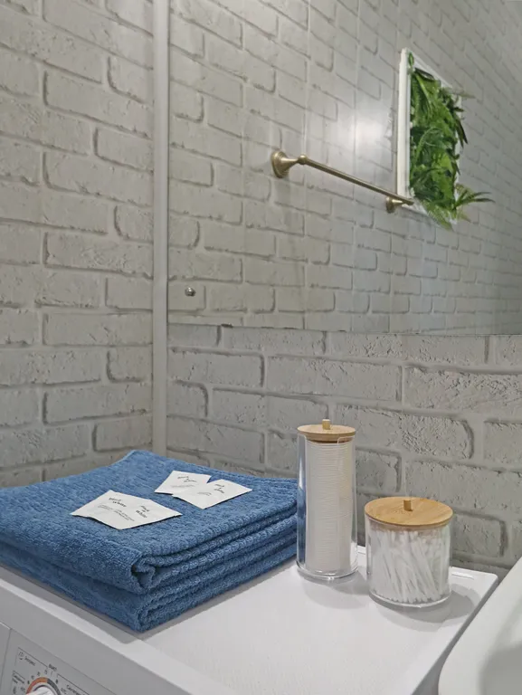 Трехкомнатная квартира формата Евро в историческом центре города!