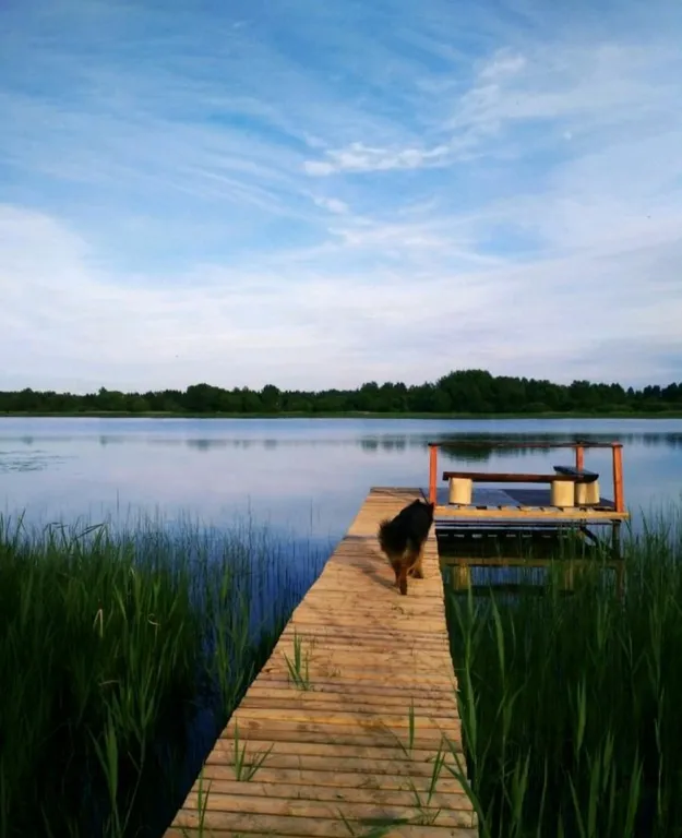 Уютный дом на берегу реки