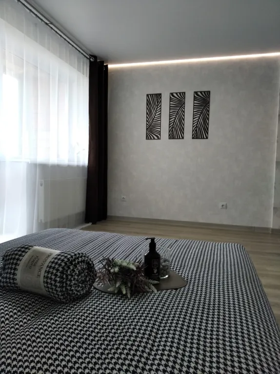 Уютная квартира-студия Делис — аренда посуточно в Ижевск