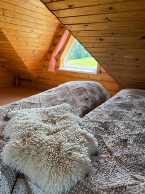 Коттедж Дом из сруба у воды — аренда посуточно в Олонец