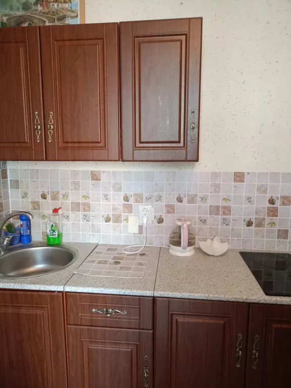 Вместительная однокомнатная квартира на 6 гостей