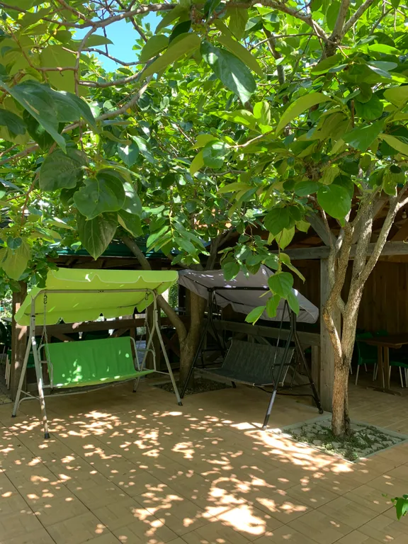 Квартира Комната — Пляхо