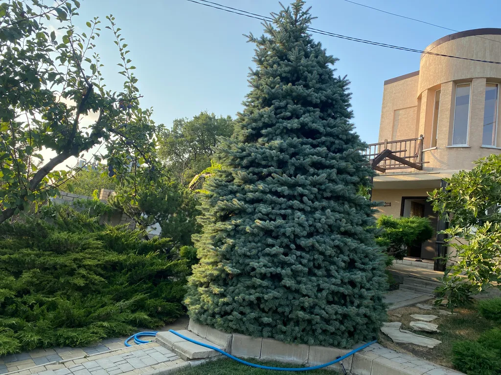 Дача Испания