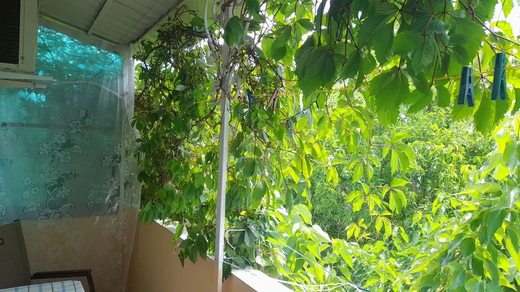 Уютно как дома