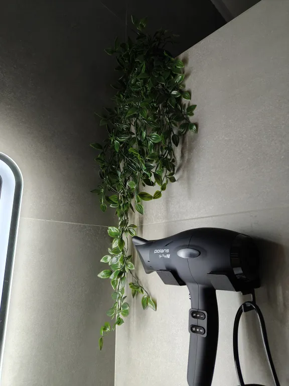 Квартира с сауной с профессиональным сушильным шкафом