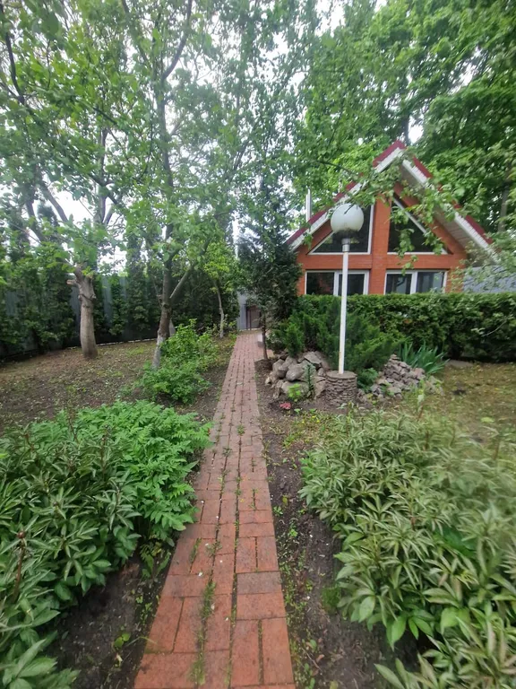 Дом в центре города