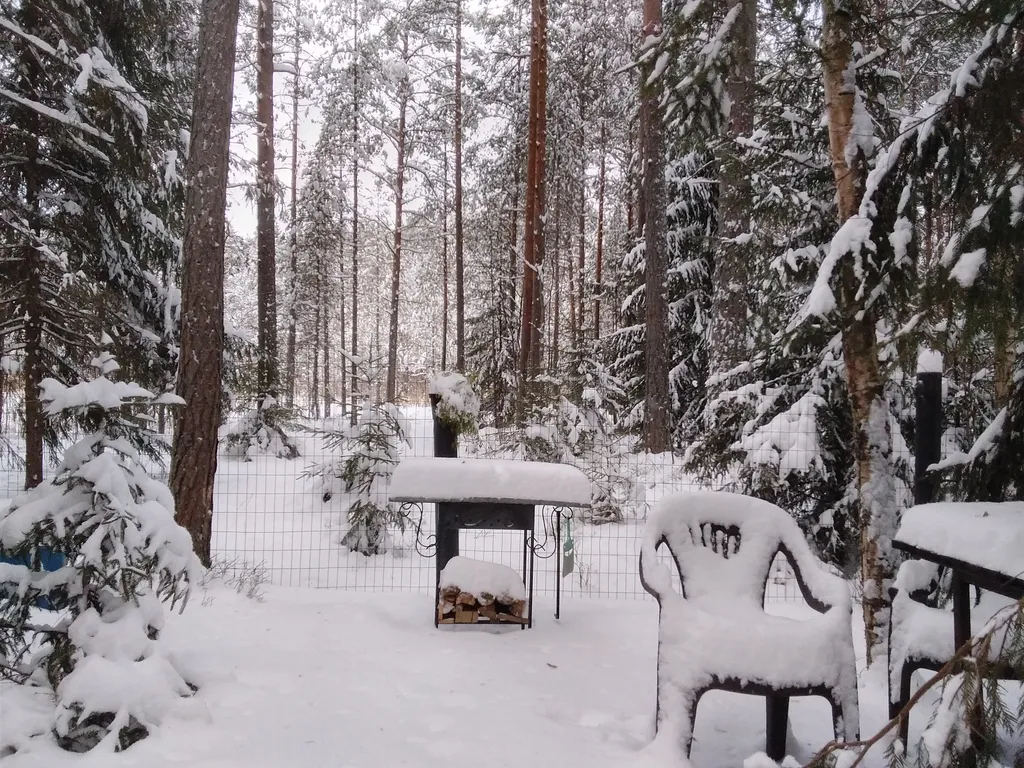 Уютный флигель у озера Большое Борково