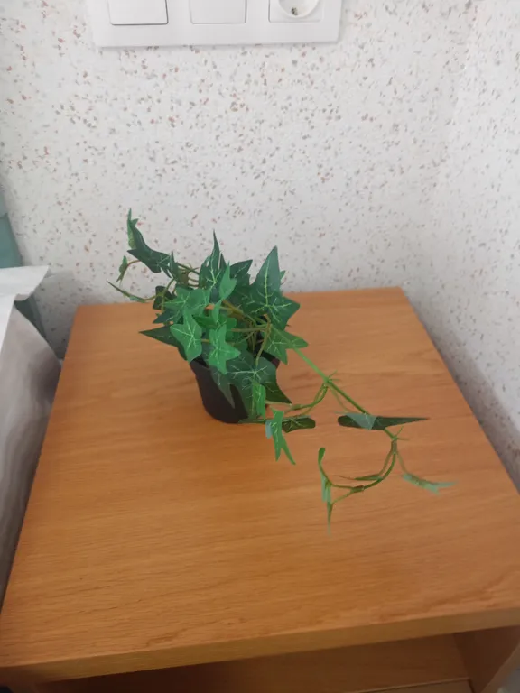 Уютный номер