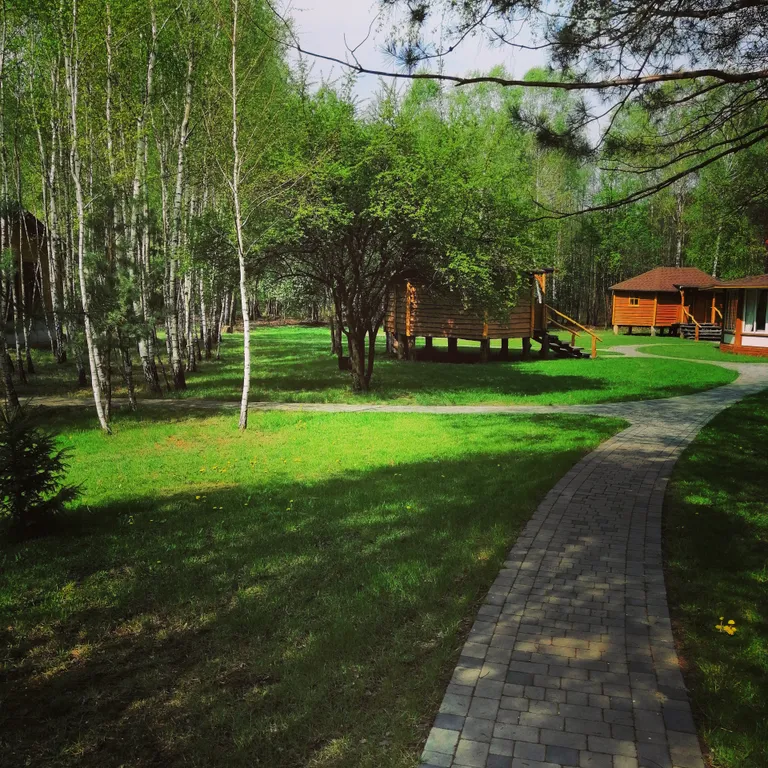 Уютные бунгало на лесной опушке