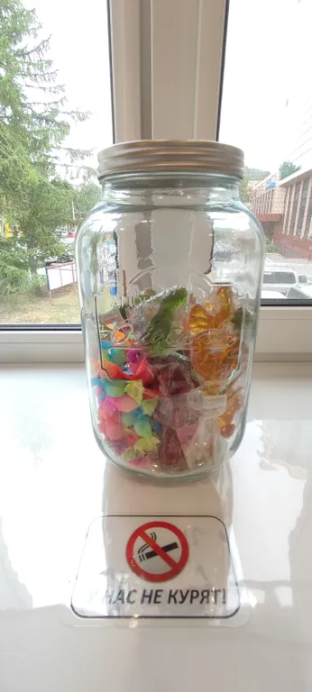 Солнечная Камчатка