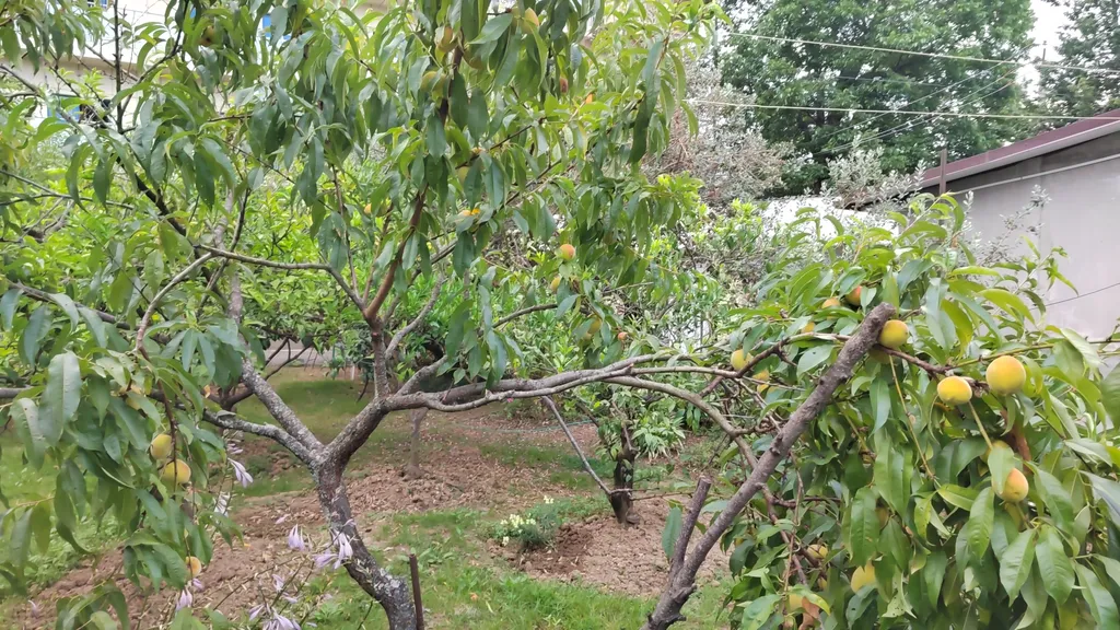 2х местный 1 этаж