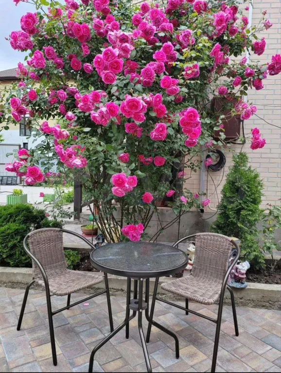 Усадьба Благодать с бассейном