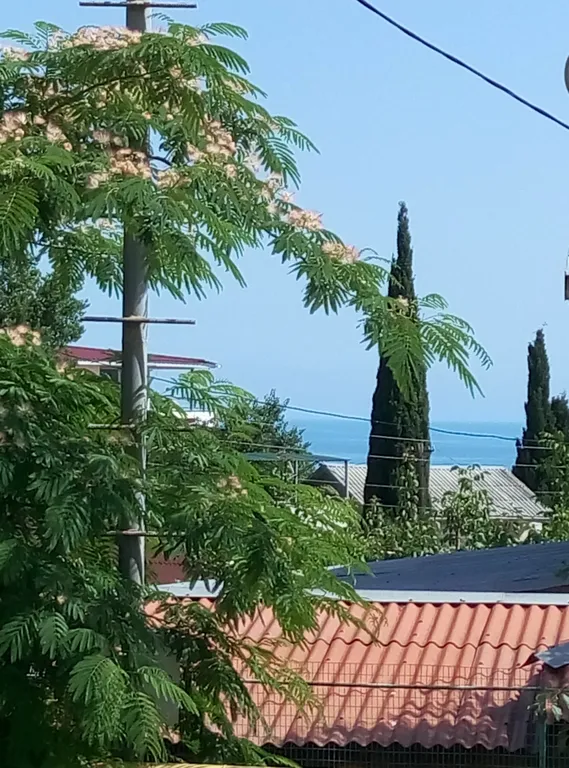 Двухместная комната с раздельными кроватями