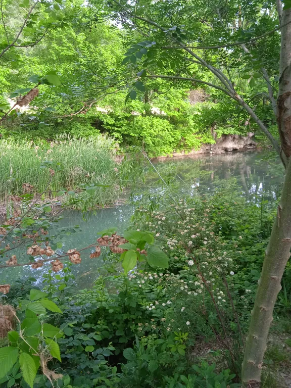 Дача Светлана