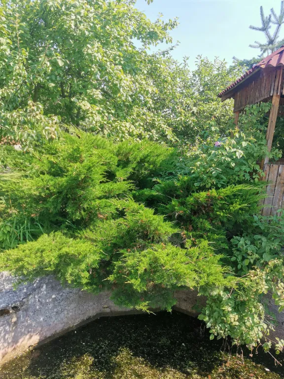 Дом 2 этажа, баня на дровах