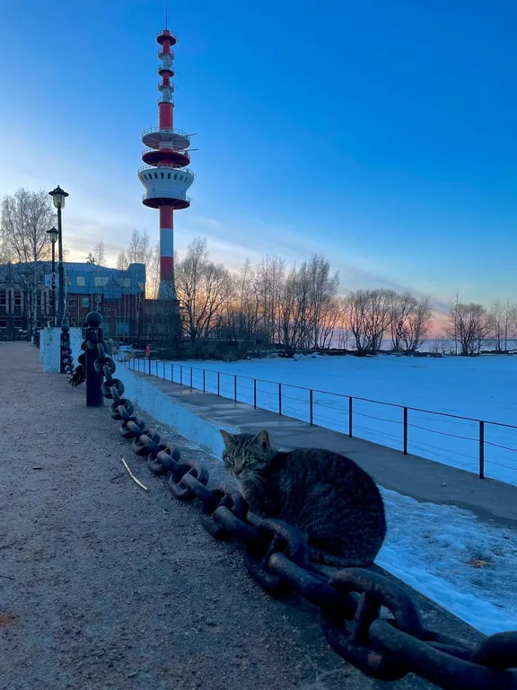 Таунхаус у маяка 3 евро