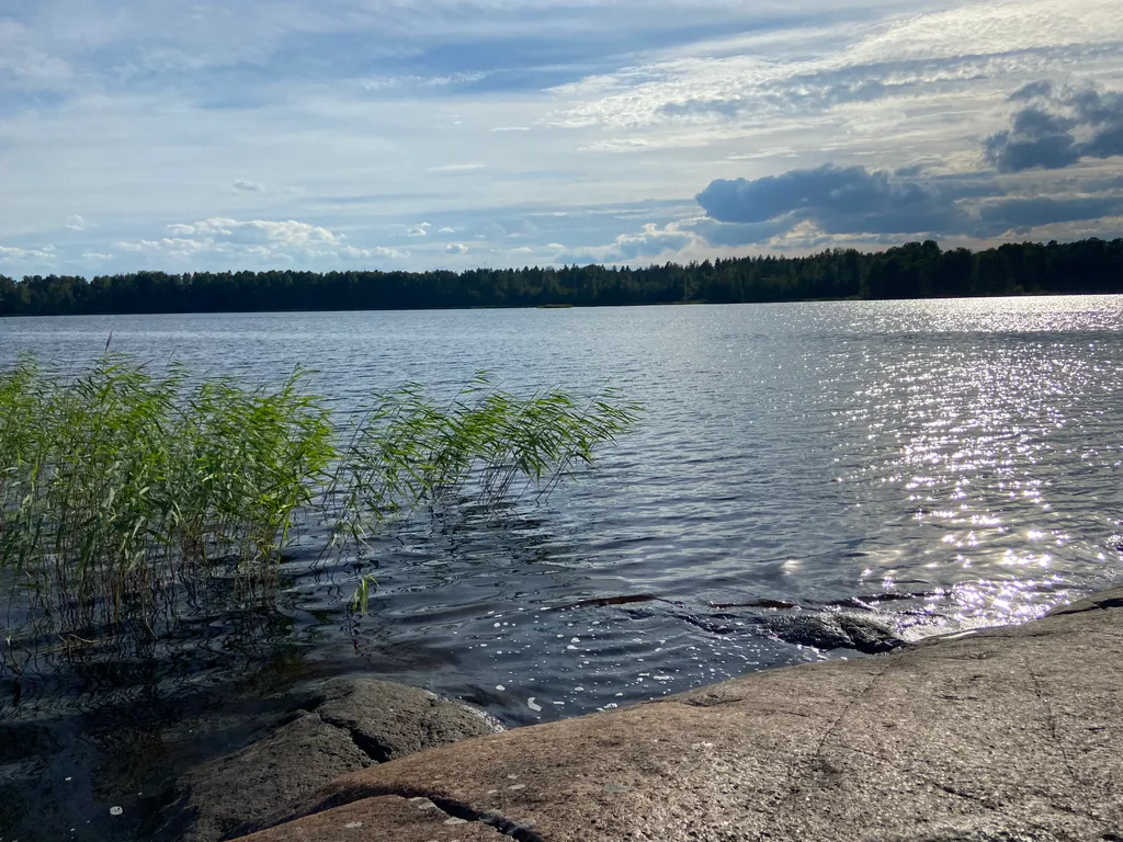 Хижина в лесу на берегу озера без соседей